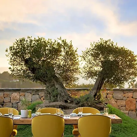 Lujo Art &joy 5* Bodrum