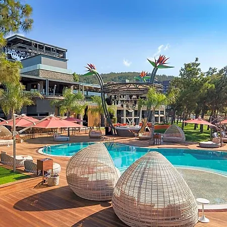 Hotel Lujo Art &joy 5*